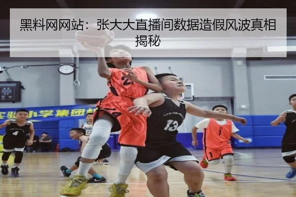 黑料网网站：张大大直播间数据造假风波真相揭秘